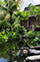 Villa Radha - Entrance pond